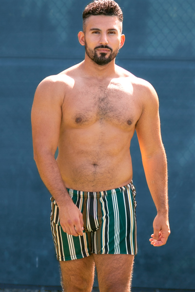 Tan Though green and black stripe swim shorts