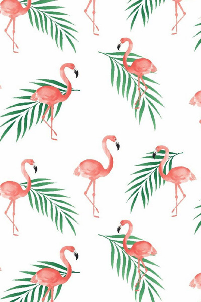  Flamingo